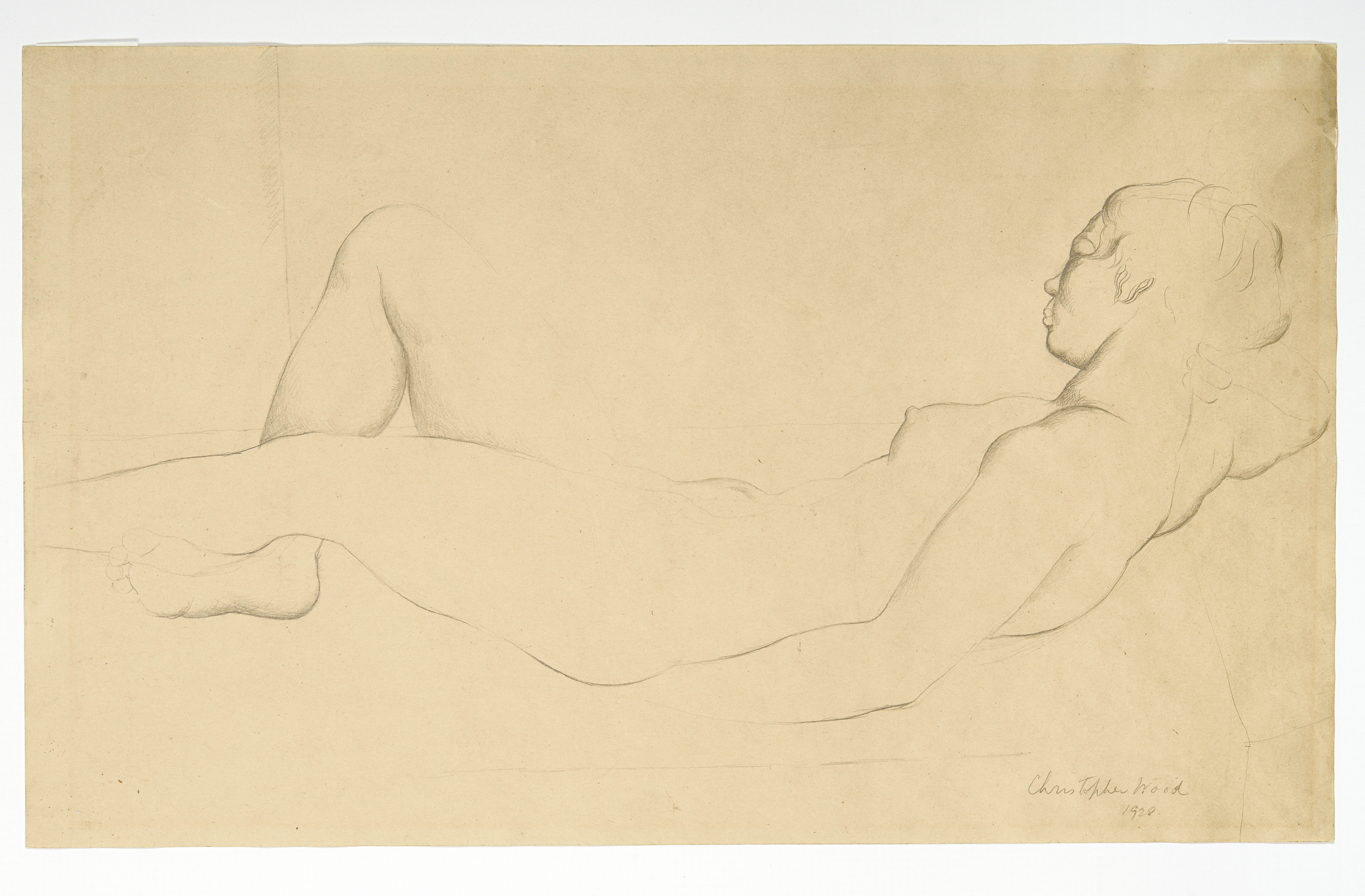 A Reclining Female Nude